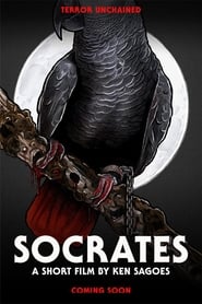 Watch Socrates