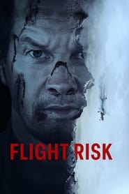 Watch Flight Risk