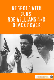 Watch Negroes with Guns: Rob Williams and Black Power