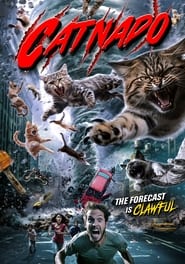 Watch Catnado