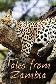 Watch Tales from Zambia