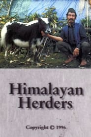 Watch Himalayan Herders