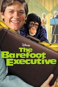 Watch The Barefoot Executive