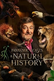 Watch Fantastic Beasts: A Natural History