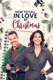 Watch How to Fall in Love by Christmas