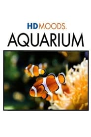 Watch HD MOODS: AQUARIUM