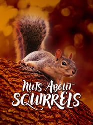 Watch Nuts About Squirrels