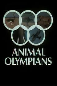 Watch Animal Olympians