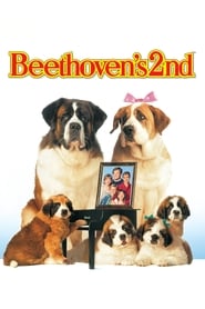 Watch Beethoven's 2nd