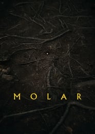 Watch Molar