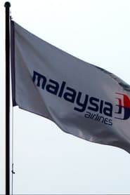 Watch The Disappearance of Flight MH370