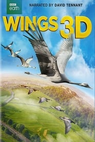 Watch Wings 3D