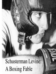 Watch Schusterman Levine: A Boxing Fable