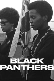 Watch Black Panthers