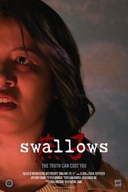 Watch swallows燕子