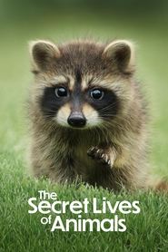 Watch The Secret Lives of Animals