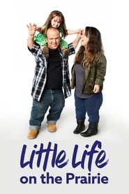 Watch Little Life on the Prairie