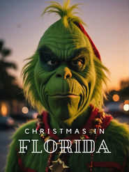 Watch Christmas In Florida