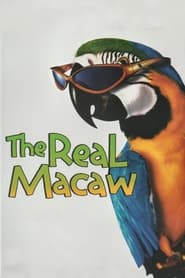 Watch The Real Macaw