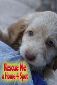 Watch Rescue Me: A Home 4 Spot