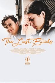 Watch The Last Birds