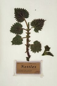 Watch Nettles