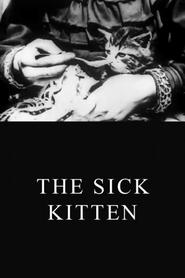 Watch The Sick Kitten