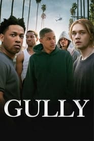 Watch Gully