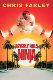 Watch Beverly Hills Ninja