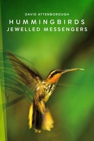 Watch Hummingbirds: Jewelled Messengers