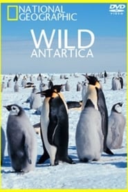 Watch Wild Antarctica