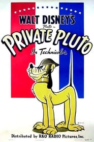 Watch Private Pluto