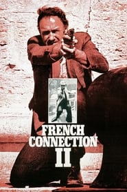 Watch French Connection II