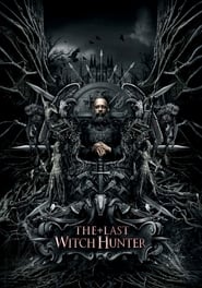 Watch The Last Witch Hunter