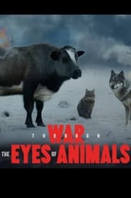 Watch War Through the Eyes of Animals