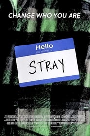 Watch Stray