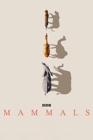 Watch Mammals