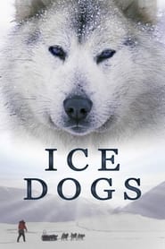 Watch Ice Dogs: The Only Companions Worth Having