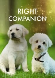 Watch The Right Companion