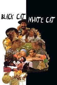 Watch Black Cat, White Cat