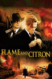 Watch Flame & Citron