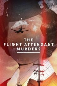 Watch The Flight Attendant Murders