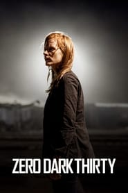 Watch Zero Dark Thirty