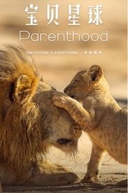 Watch Parenthood