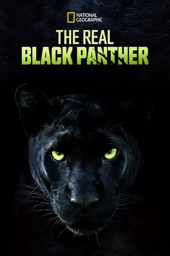 Watch The Real Black Panther