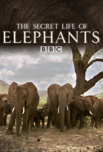 Watch The Secret Life of Elephants