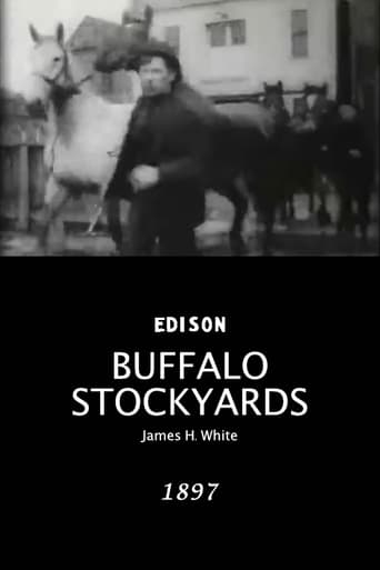Watch Buffalo Stockyards