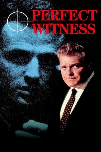 Watch Perfect Witness