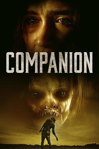 Watch Companion