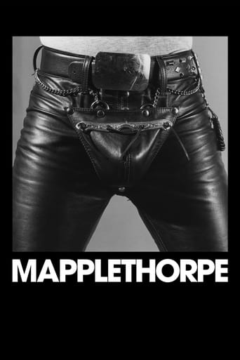 Watch Mapplethorpe